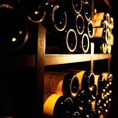 Wine【ワイン】